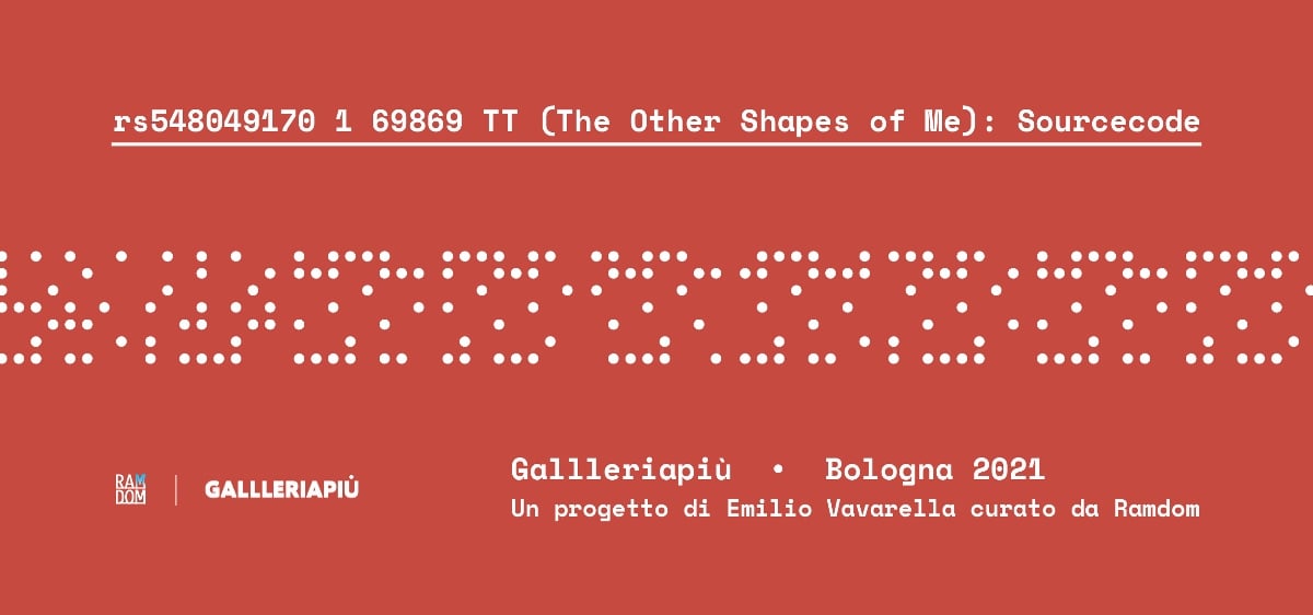 Emilio Vavarella - rs548049170_1_69869_TT (The Other Shapes of Me): Sourcecode